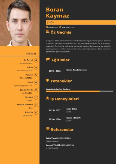 Şoför Örnek cv indir